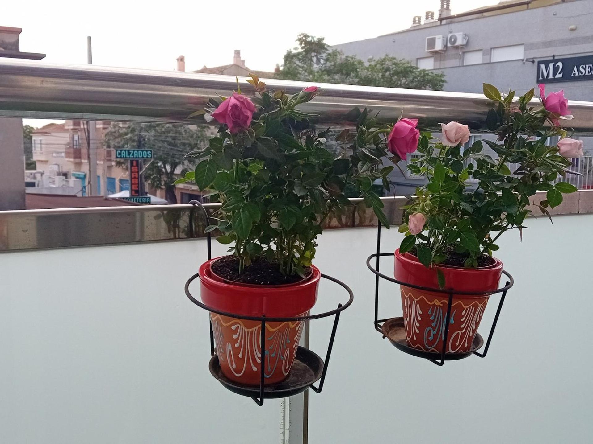 El Estudio De Las Mariposas,Sofa Cama , Cocina Y Bano Partida de La Cañada Екстериор снимка
